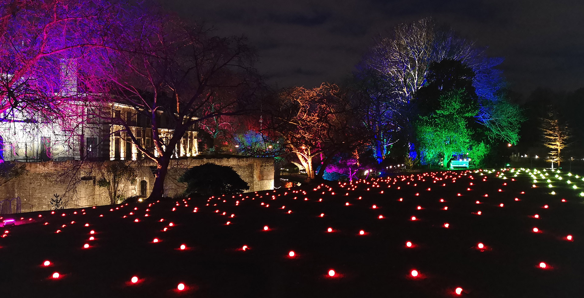 English Heritage Outdoor Lighting Event Trees Eltham