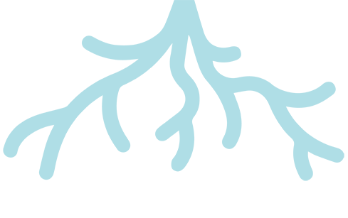 Roots icon
