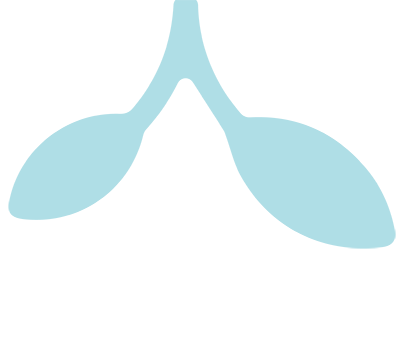 Leaf shoots icon